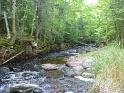 This is the stream near our next camp, where we dipped our toes for a while when we were tired of hiking.